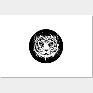 Head of a white tiger Posters and Art
